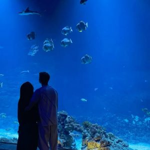 Acuario