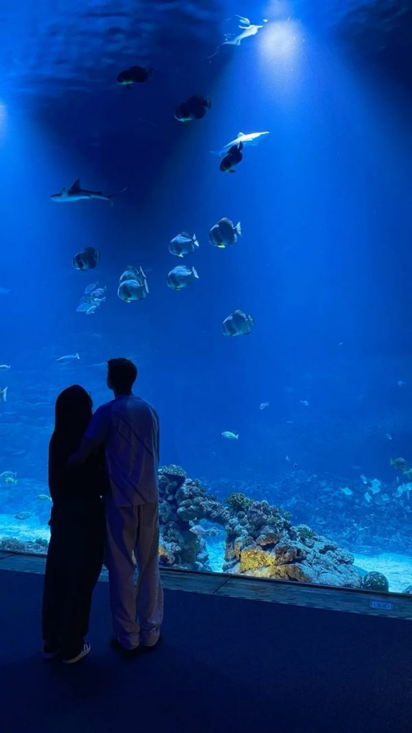 Acuario