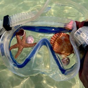 Snorkeling