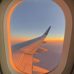Vuelo