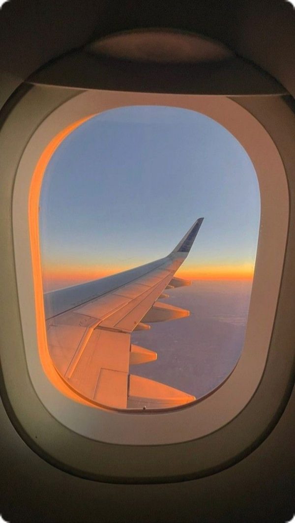 Vuelo