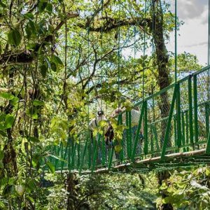 Entrada a parques ecológicos