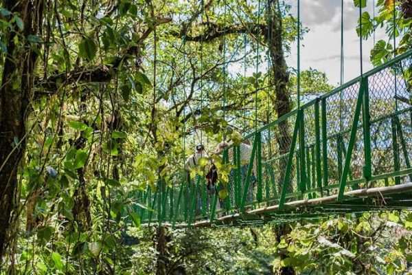Entrada a parques ecológicos